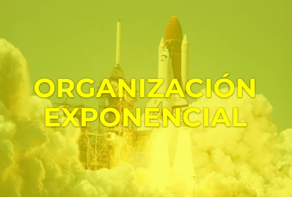 organizacion exponencial